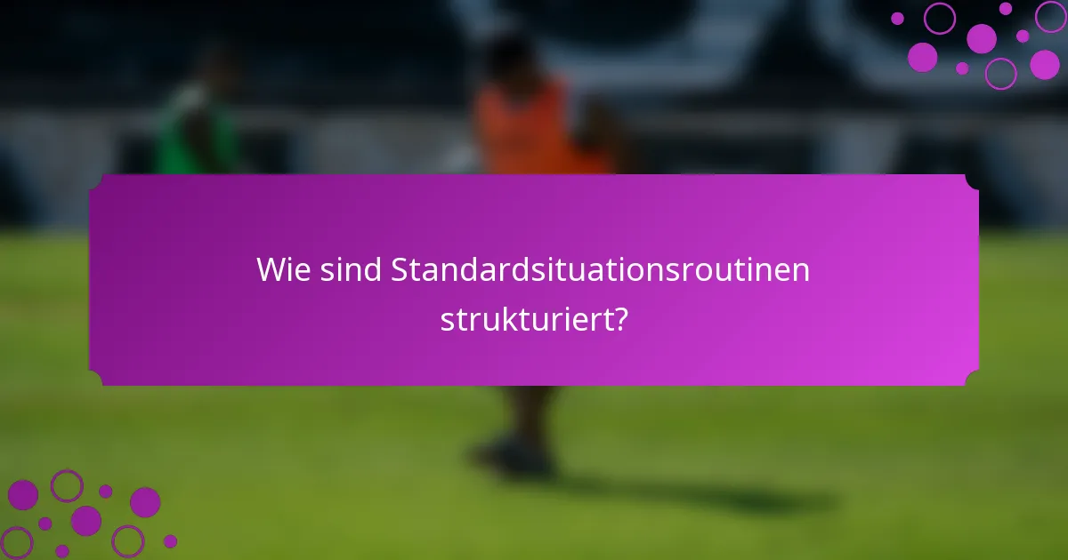 Wie sind Standardsituationsroutinen strukturiert?